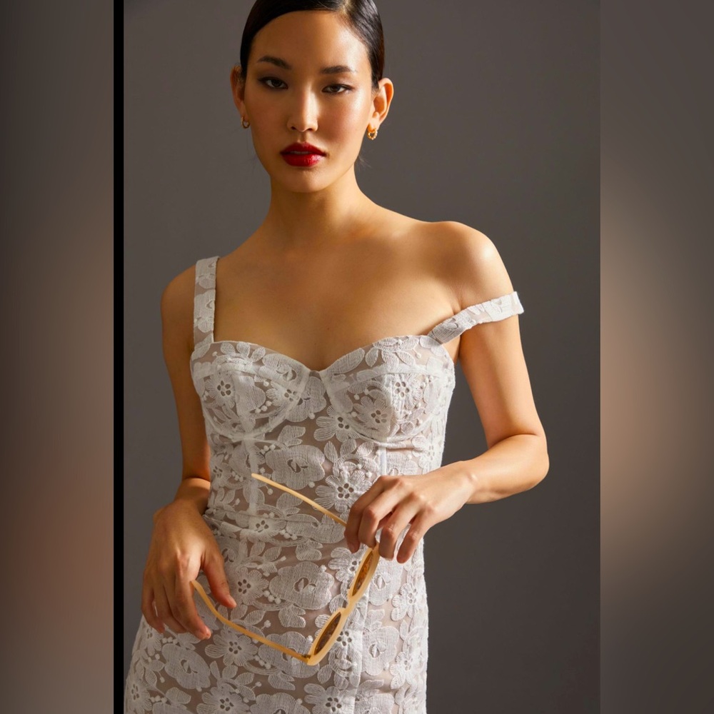 Hutch Anthropology Midi Lace Corset Dress. Wedding, Summer dress! Vintage modern